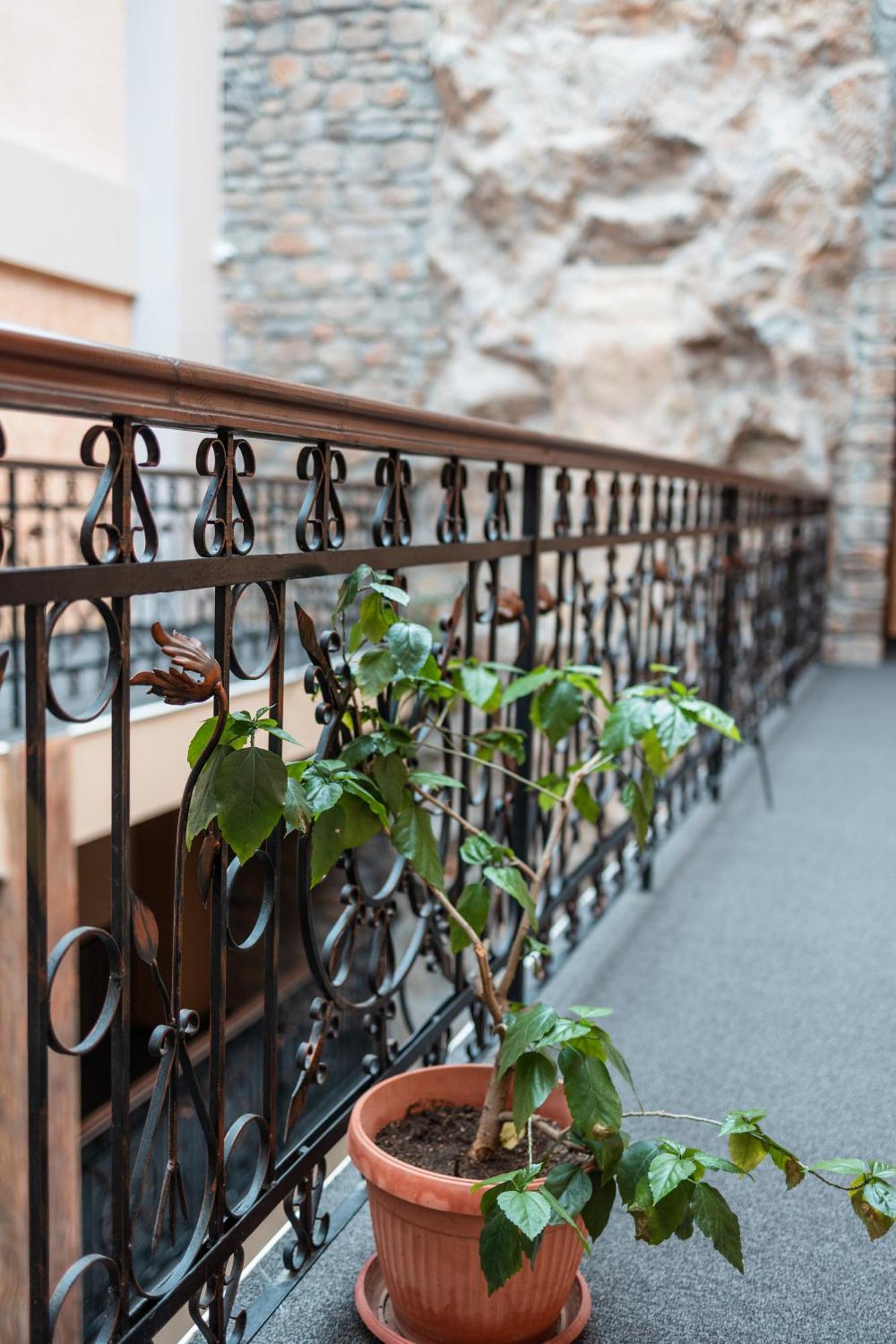 Hotel Neptun 비딘 외부 사진